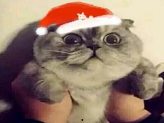 娱乐之神级魔盗师免费