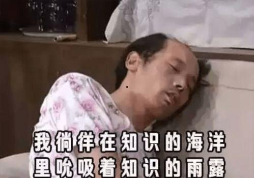 葛优躺图片表情包,懒散生活的缩影与共鸣