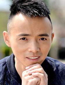 陈冬青的个人资料,科技领域的创新先锋与杰出贡献者